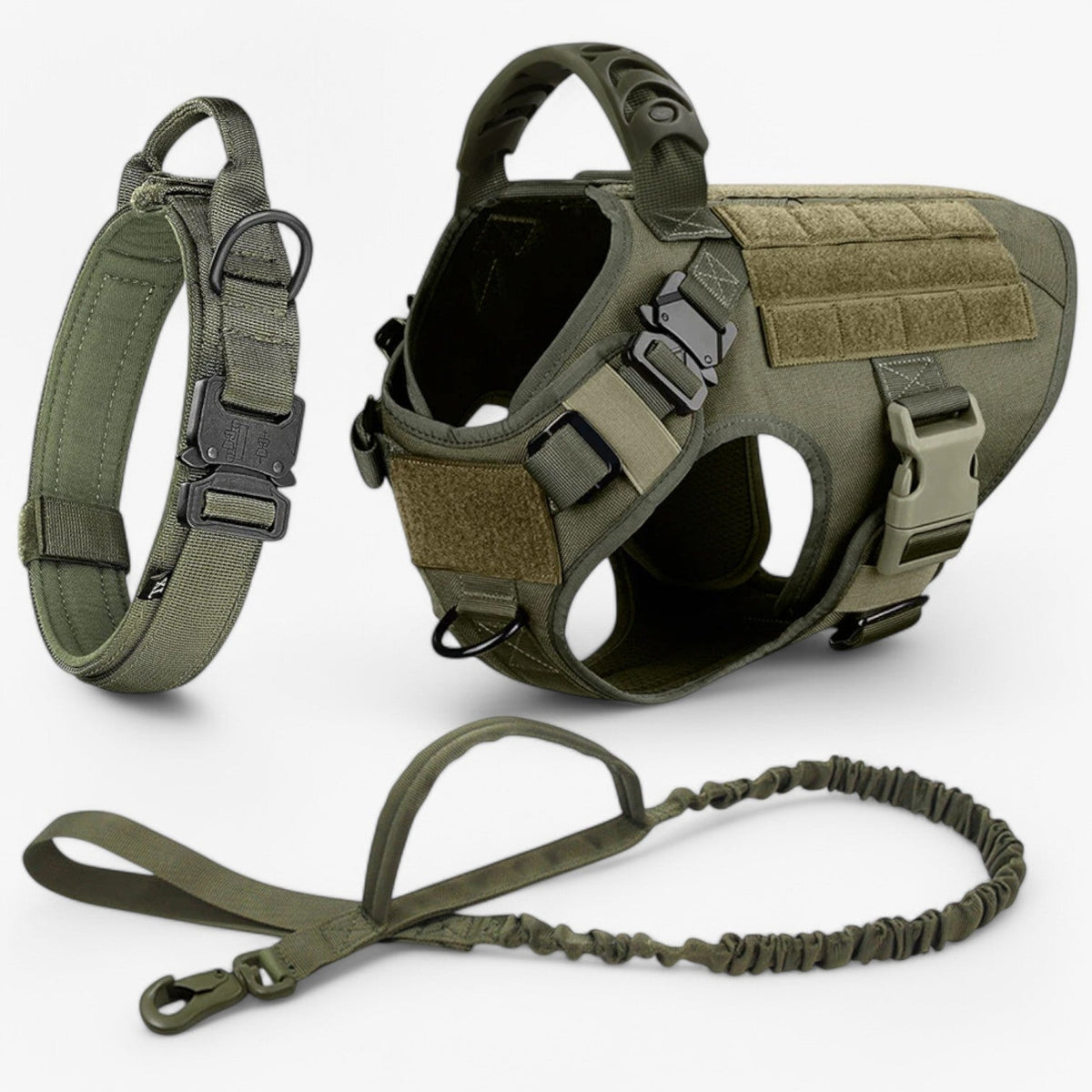 Hondenriem – Comfort en veiligheid voor training