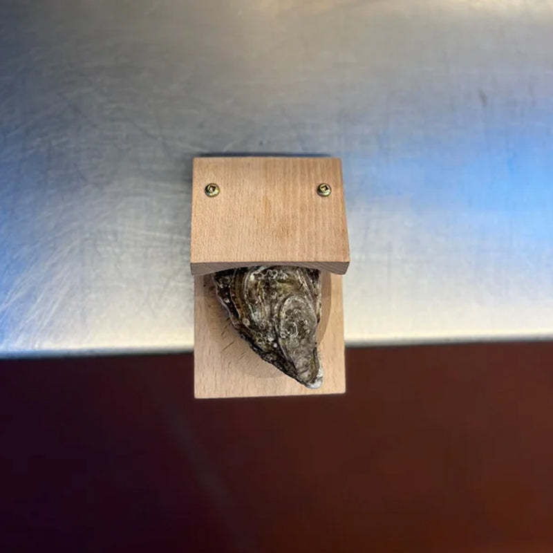 Houten oesterklem met handvat
