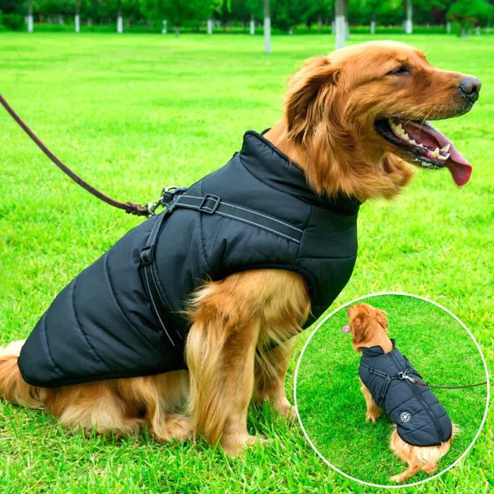 Waterdichte winterjas voor honden - Gevoerd met sherpa-fleece - Geïntegreerd tuigje - Ideaal voor de koude maanden