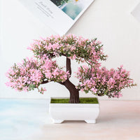 Bonsaiplant