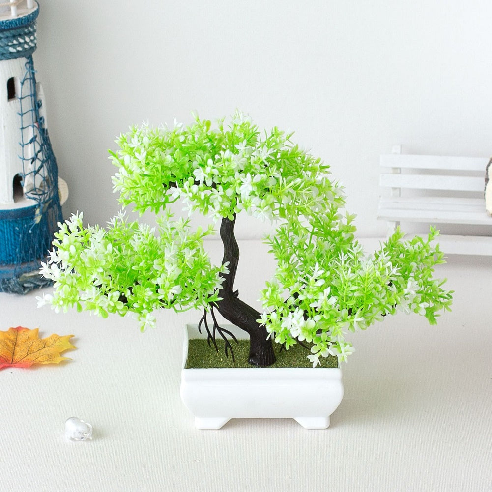 Bonsaiplant