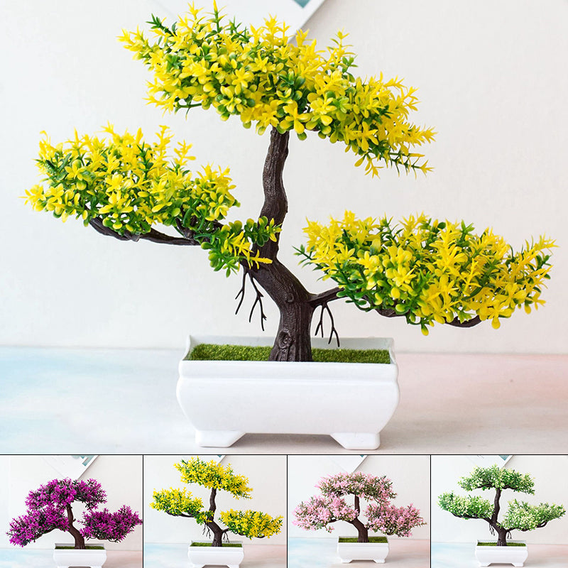 Bonsaiplant