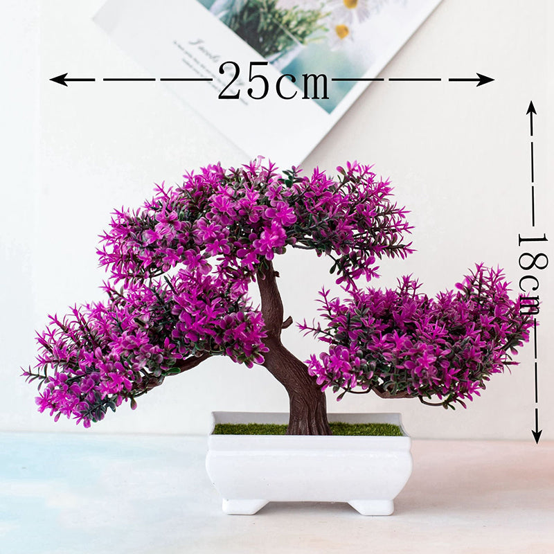 Bonsaiplant
