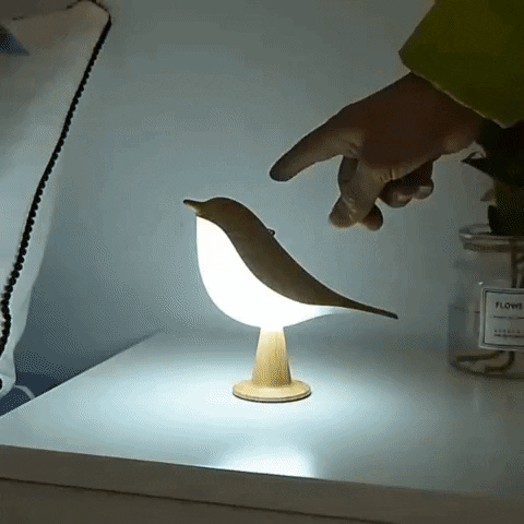 Een lamp die natuur, licht en rust in uw huis brengt