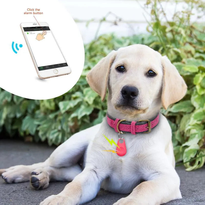 GPS Huisdier Tracker - Realtime Locatie | Waterdicht