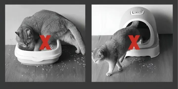 Grote antislip kattenbakmat
