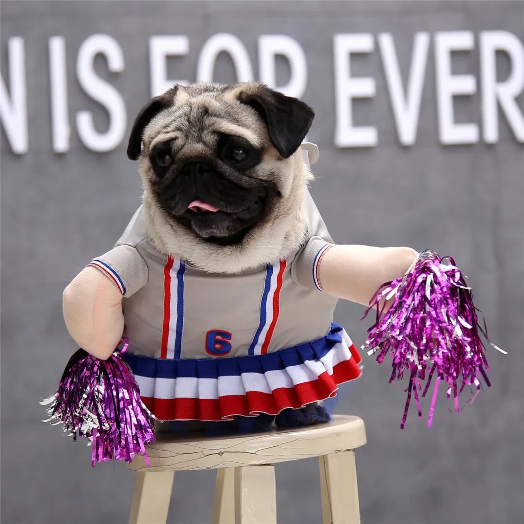 Halloweenkostuum voor honden