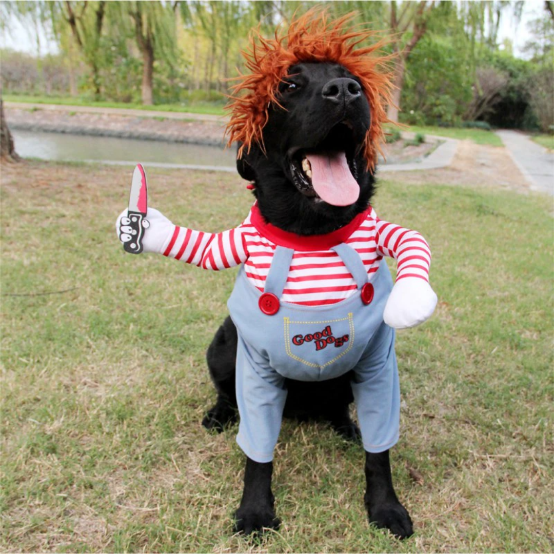 Halloweenkostuum voor honden