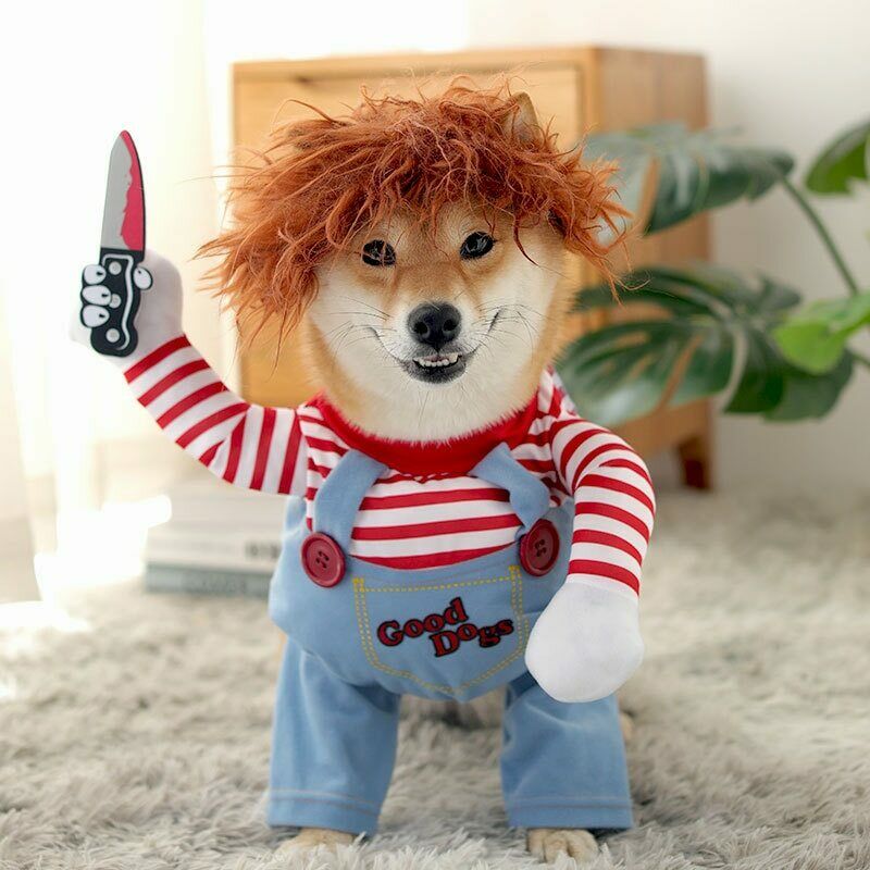 Halloweenkostuum voor honden