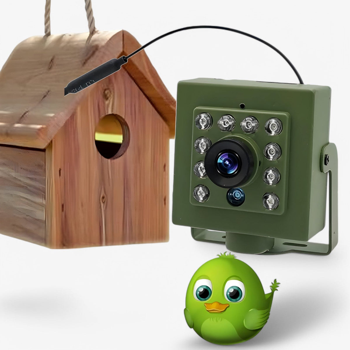 HD Wifi Vogelhuiscamera – 1080p Waterdichte Buitencamera voor Dieren met Nachtzicht