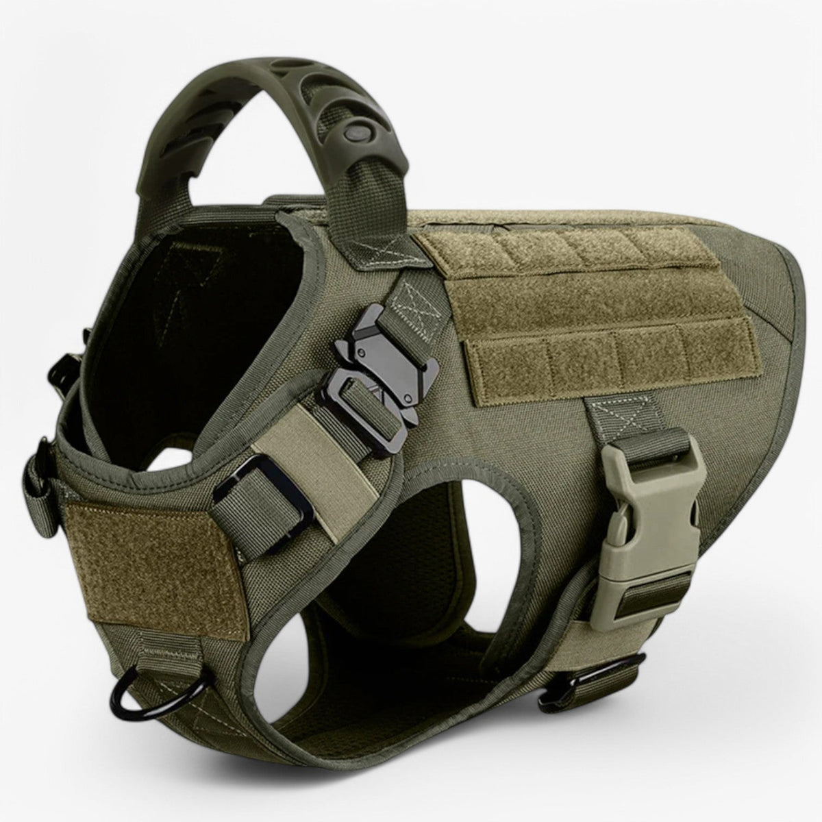 Hondenriem – Comfort en veiligheid voor training