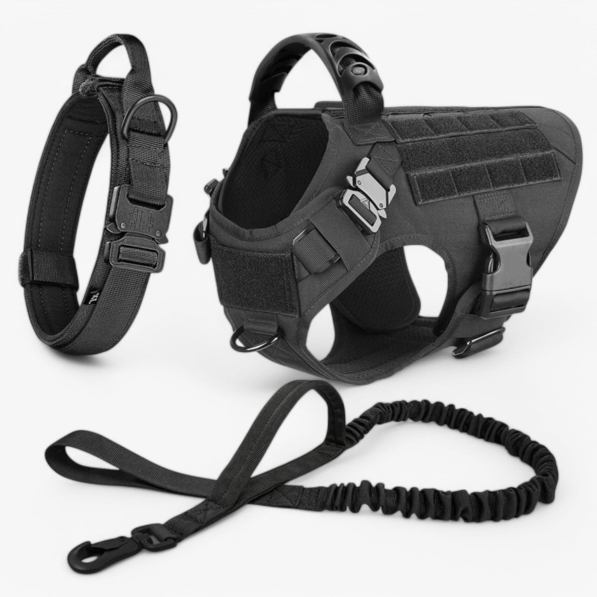 Hondenriem – Comfort en veiligheid voor training