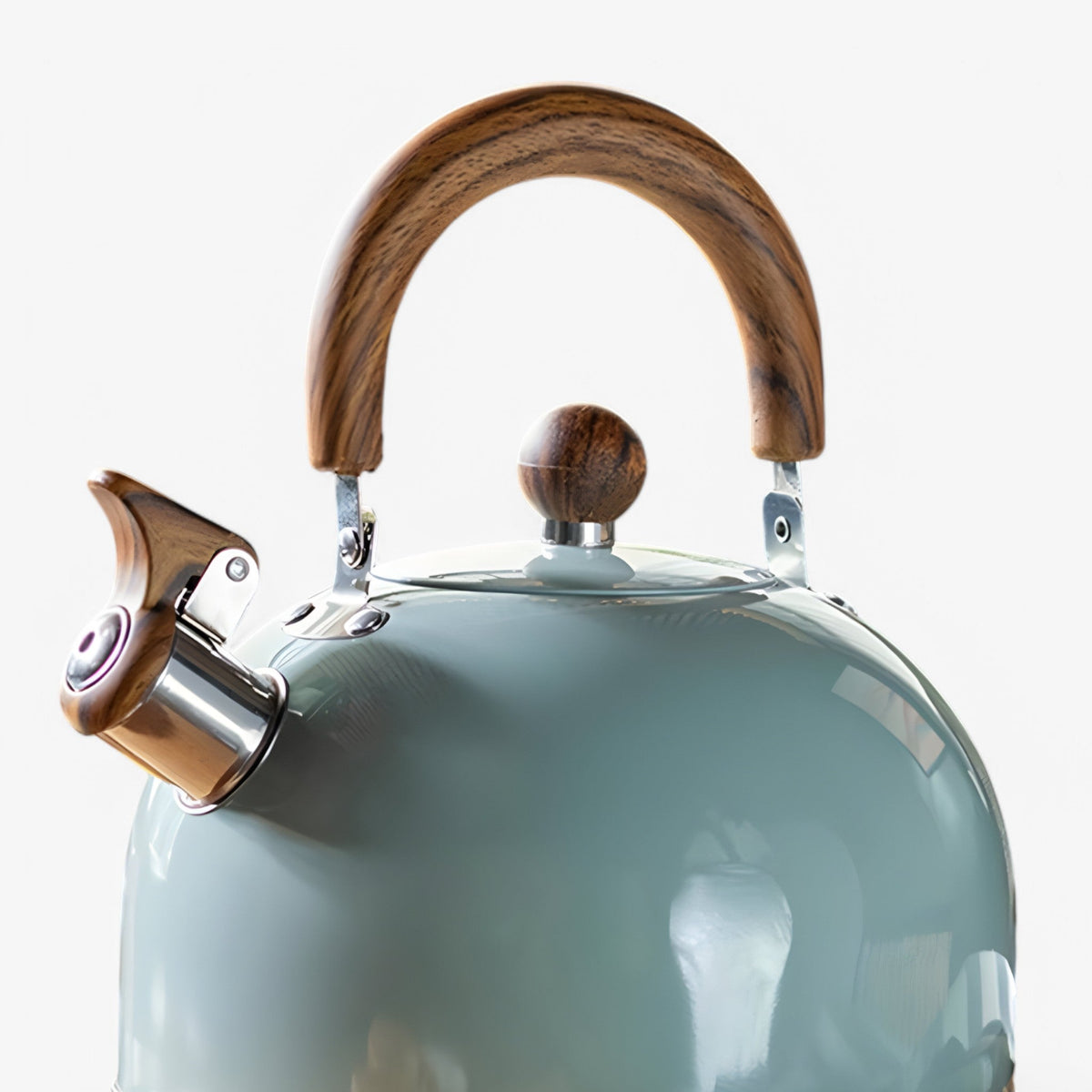 Inductie Fluitketel 2,5 L voor Inductiekookplaten met Veiligheidsfuncties