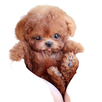 Interactieve Pluche Puppy - Realistisch Ontwerp met Bewegingsfuncties - Ideaal om Kinderen Zorg te Leren