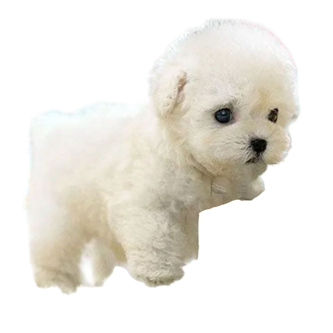 Interactieve Pluche Puppy - Realistisch Ontwerp met Bewegingsfuncties - Ideaal om Kinderen Zorg te Leren
