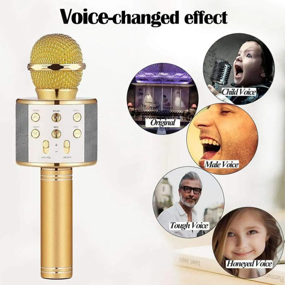 Karaokemicrofoon met bluetooth en luidspreker