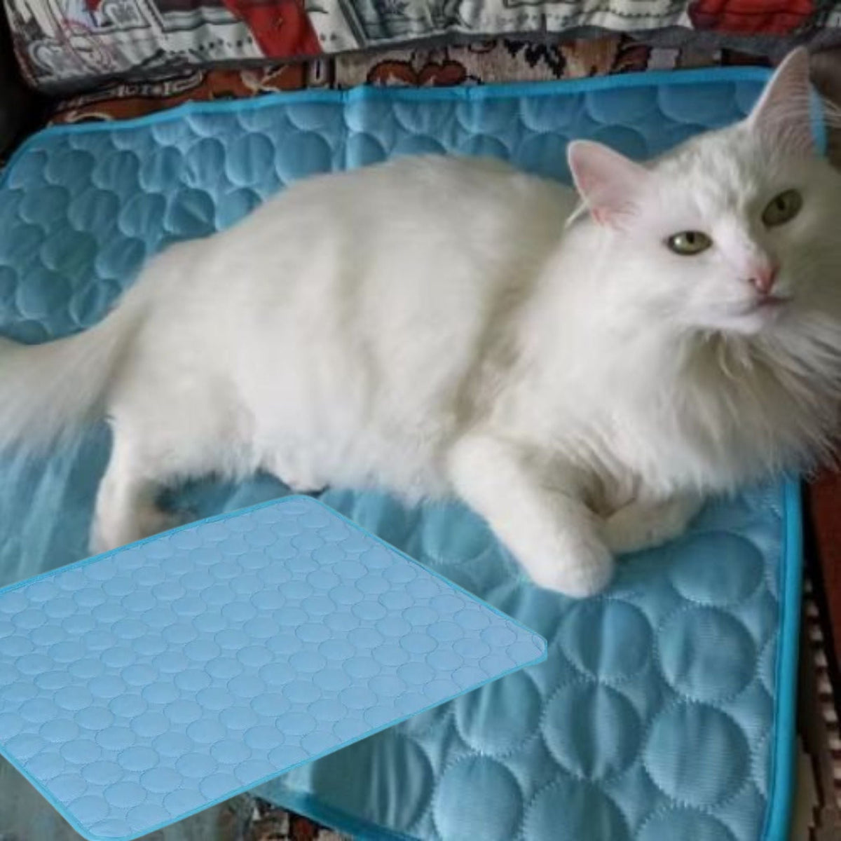 Koelmat voor katten