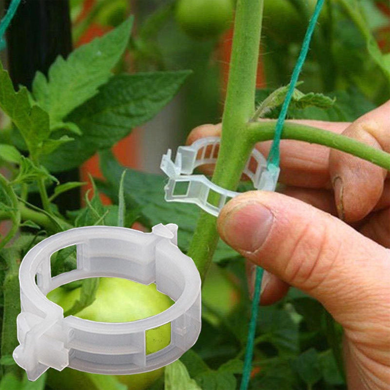 Kunststof Plantenclips voor Plantenondersteuning | Binnendiameter 1 Inch | Herbruikbaar | Stengelhouder