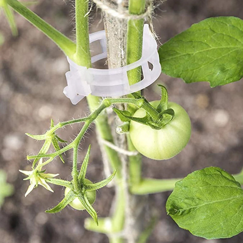 Kunststof Plantenclips voor Plantenondersteuning | Binnendiameter 1 Inch | Herbruikbaar | Stengelhouder