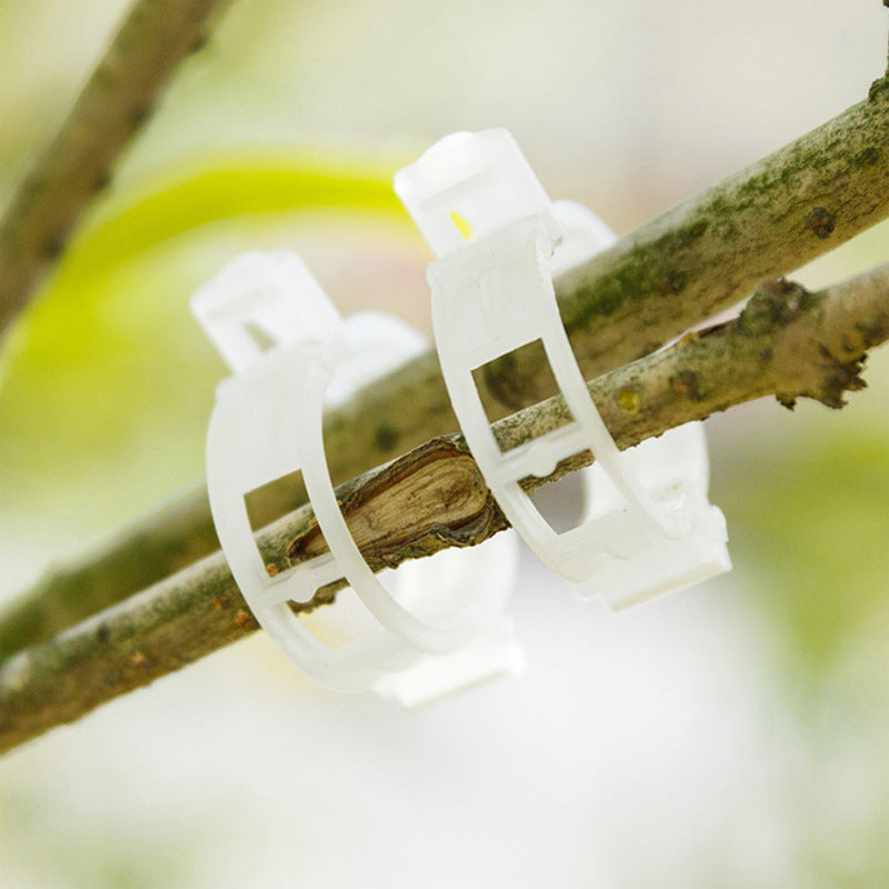 Kunststof Plantenclips voor Plantenondersteuning | Binnendiameter 1 Inch | Herbruikbaar | Stengelhouder