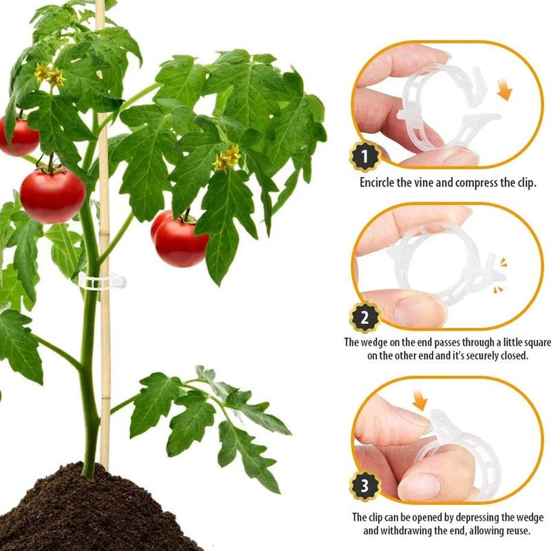 Kunststof Plantenclips voor Plantenondersteuning | Binnendiameter 1 Inch | Herbruikbaar | Stengelhouder