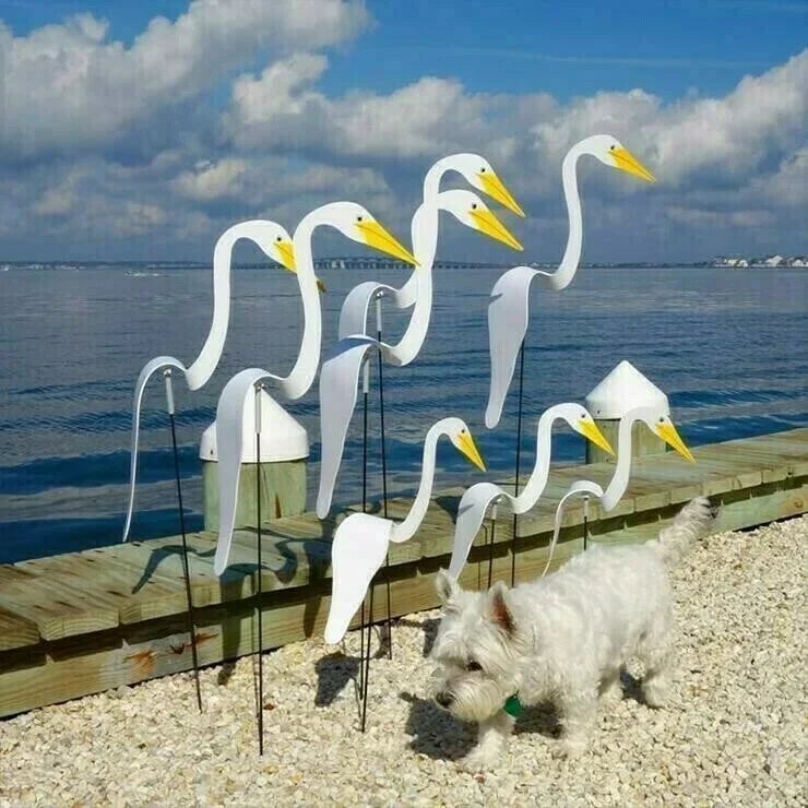 Metalen tuindecoratie - dansende vogels