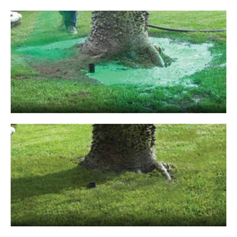 Milieuvriendelijke graszaadspray voor een vlekkeloze grasgroei