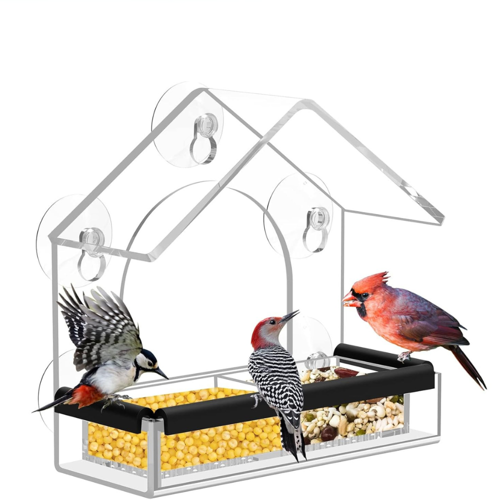 Modern acryl vogelhuisje voor het raam met zuignappen – ideaal voor het observeren van dieren, gemakkelijk te reinigen, 18 x 12,5 cm