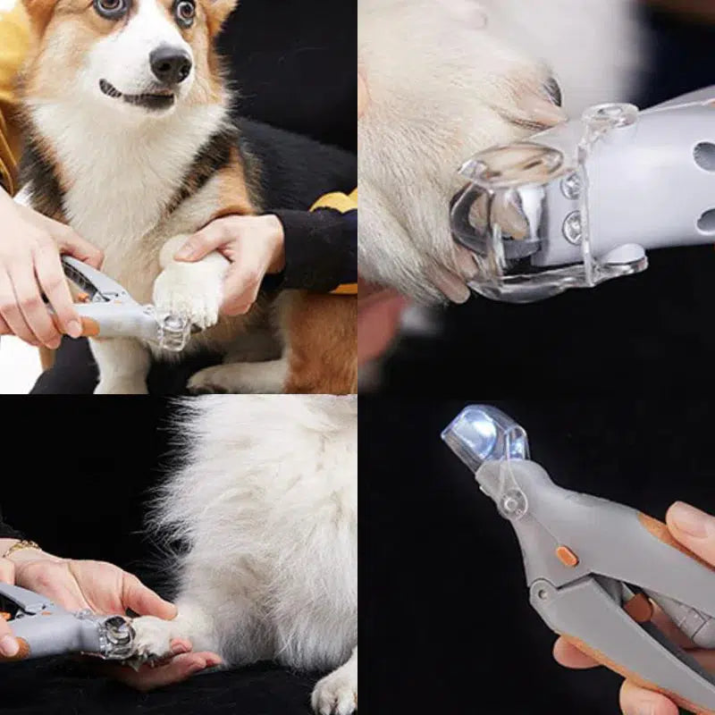Nagelschaar voor honden met bloedvatsensor