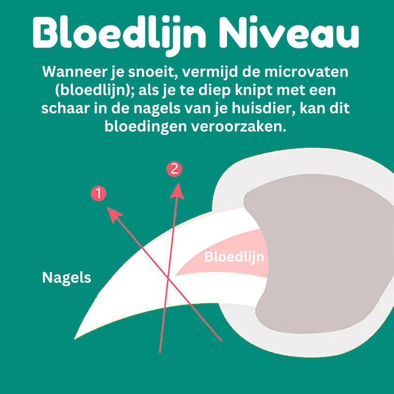 Nagelschaar voor honden met bloedvatsensor