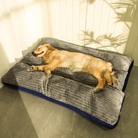 Orthopedische hondenmand ontworpen voor comfort