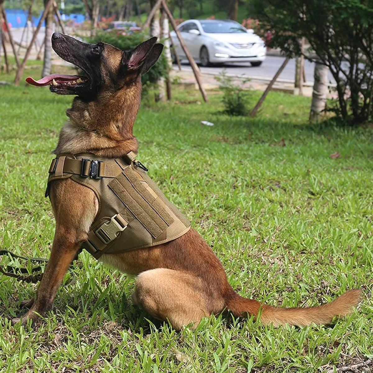 Tactisch K9 hondentuig
