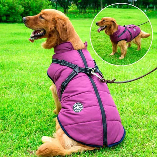 Waterdichte winterjas voor honden - Gevoerd met sherpa-fleece - Geïntegreerd tuigje - Ideaal voor de koude maanden