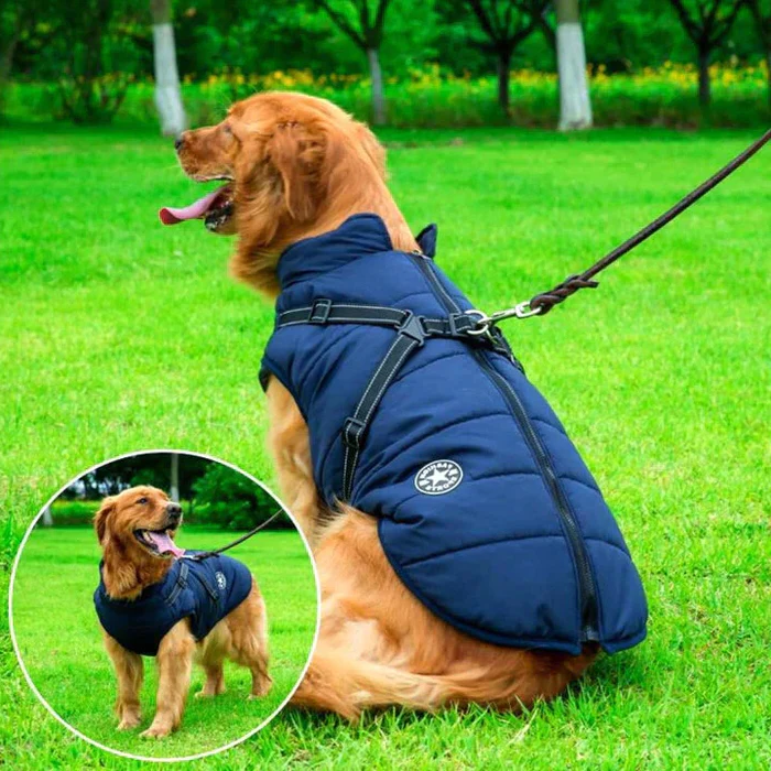 Waterdichte winterjas voor honden - Gevoerd met sherpa-fleece - Geïntegreerd tuigje - Ideaal voor de koude maanden